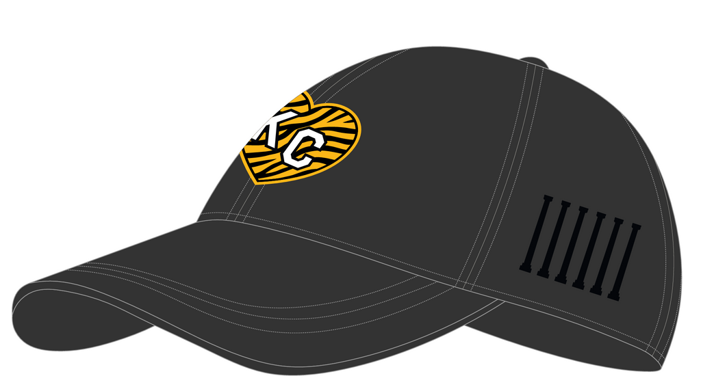 Mizzou | Power The Roar Embroidered Hats