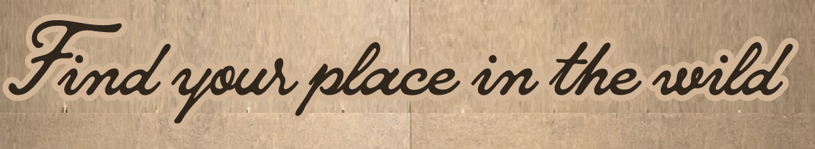 Hoock | Die-Cut Foam Board Sign